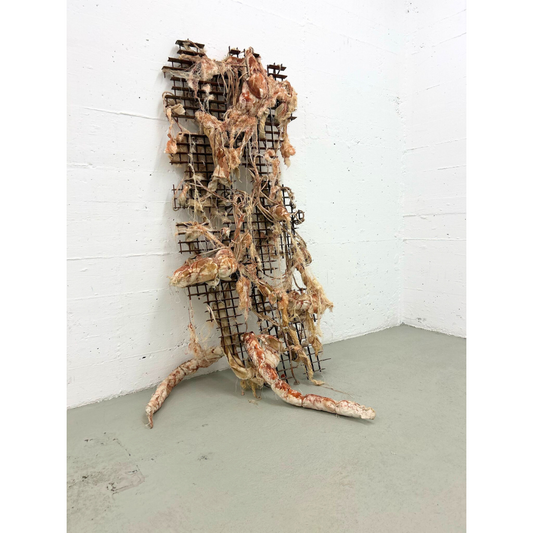 Argument in the Age of Desolation