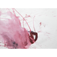 Untitled (041A7721)