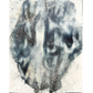 Untitled (My Ghostly MRIs 3)