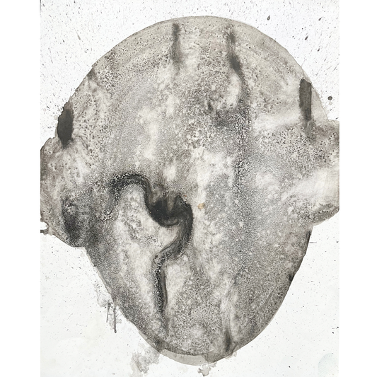 Untitled (My Ghostly MRIs 8)
